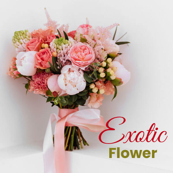 Exotic Flower