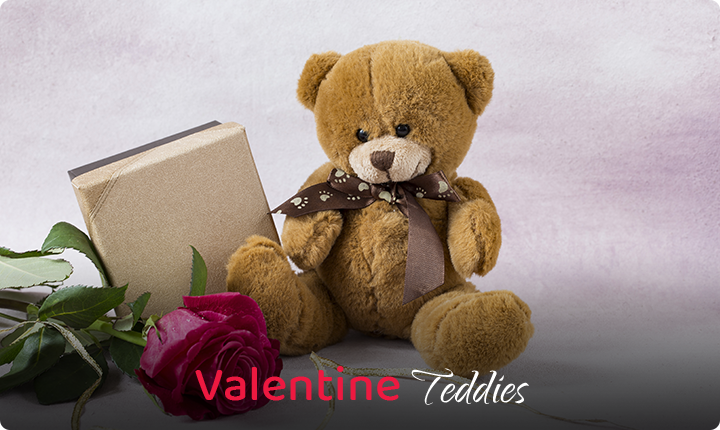 Valentine Teddies