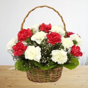 Red and White Carnation Basket