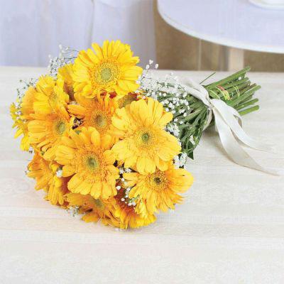 12 Fresh Yellow Gerberas