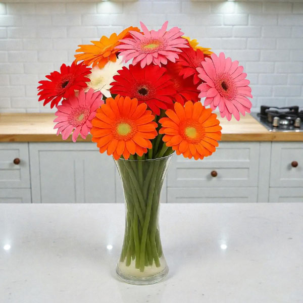 Colourful Gerbera Vase
