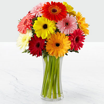 Colourful Gerbera Vase