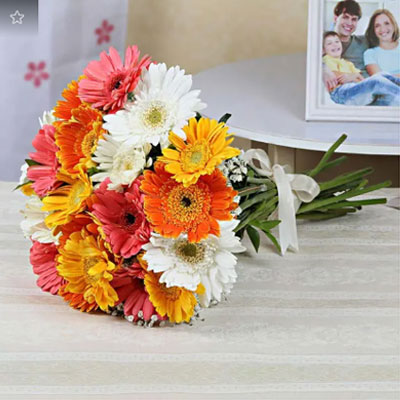 15 Mixed Gerberas