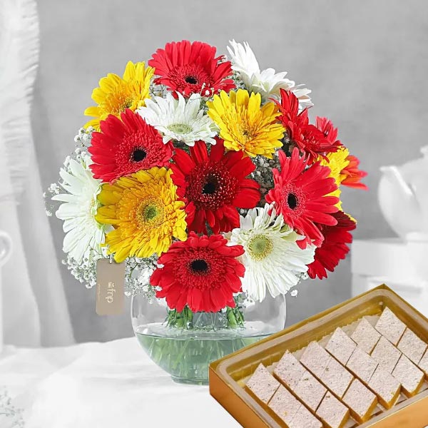 Beautiful Gerberas with Kaju Barfi