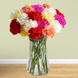 Colourful Carnation Vase