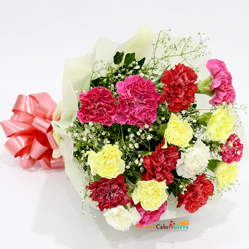 Mixed Carnation Bouquet
