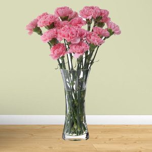 Pink Carnation Vase