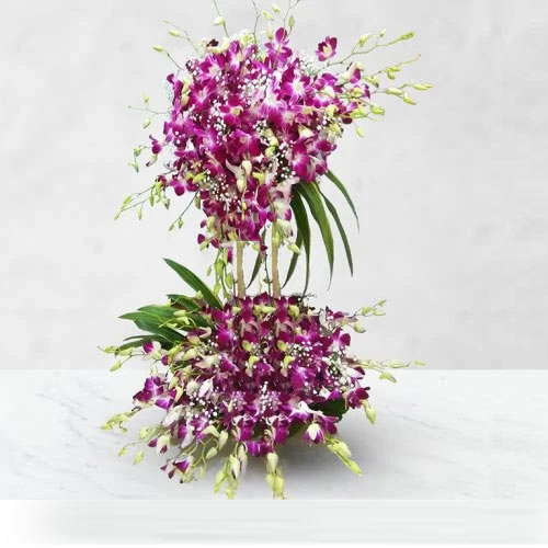 Romantic Orchid Arrangement