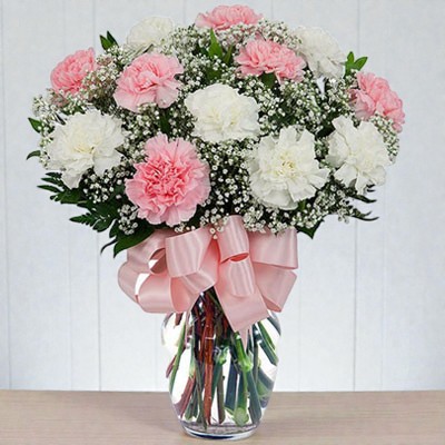 Wonderful Carnation Vase