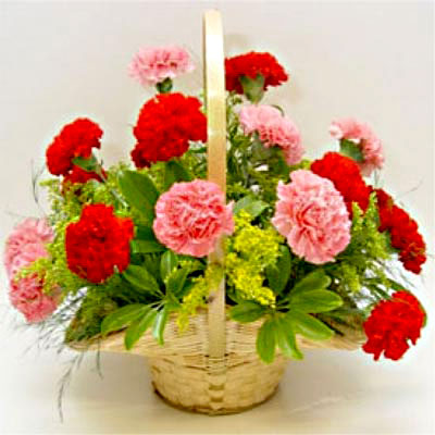 Splendid Carnation Basket