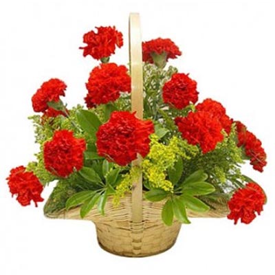 Red Carnation Basket