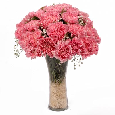 Pink Carnation Vase