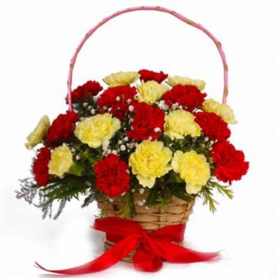 Fresh Day Carnation Basket