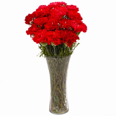 Red Carnation Vase