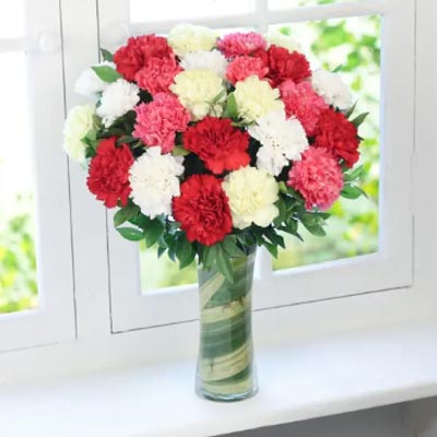 Colourful Carnation Vase
