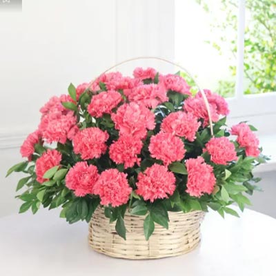 25 Pink Carnation Basket