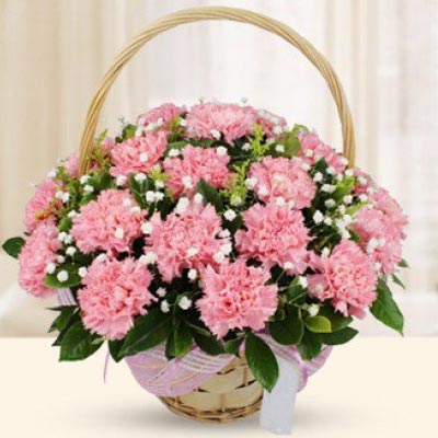 Loving Carnation Basket