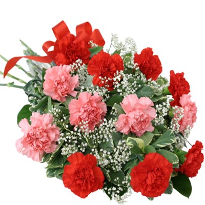 Classic Red & Pink Carnation Bunch
