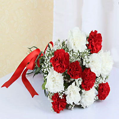 Fresh Red & White Carnation Bunch