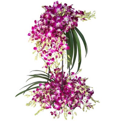 Romantic Orchid Arrangement