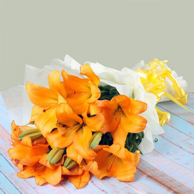 Splendid Orange Lilies