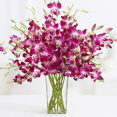 Orchid Vase