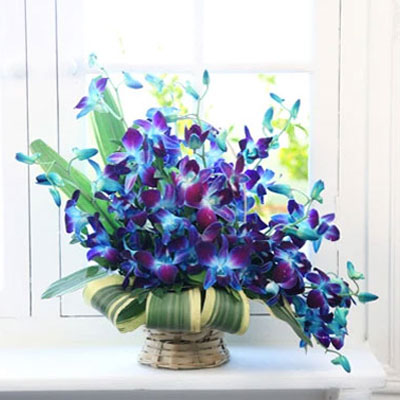 Spectacular Orchid Basket