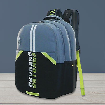 Skybags Astro Extra School Backpack