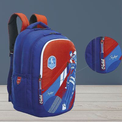 Skybags School Backpack Astro Plus 04