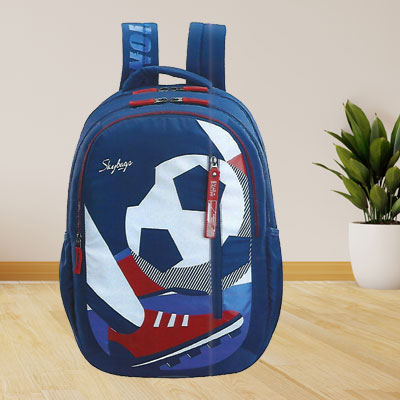 Skybags School Backpack Astro Plus 05