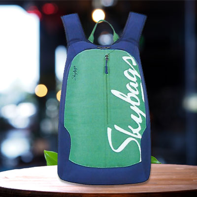 Stylish & Slim Skybag Backpack