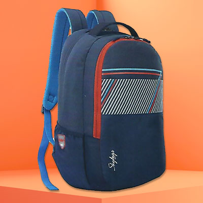 Skybags Backpack Campus 02