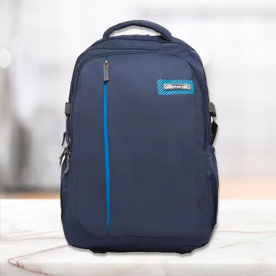 Aristocrat CitySpace Backpack