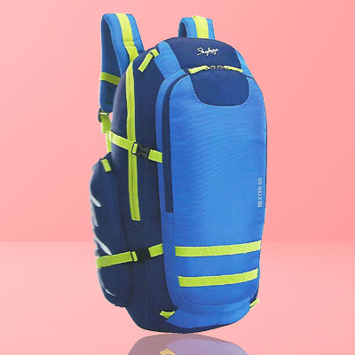 Skybags Weekender Backpack Dexter