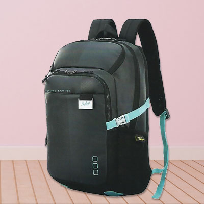 Skybags Professional Backpack