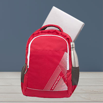 Aristocrat skybags best sale