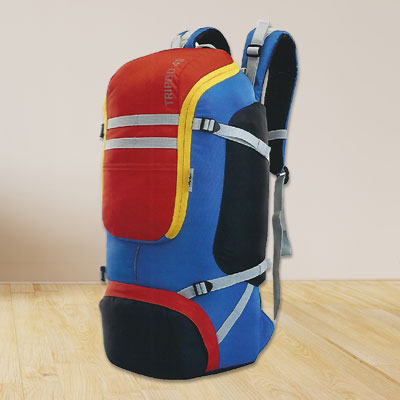 Skybags Weekender Backpack