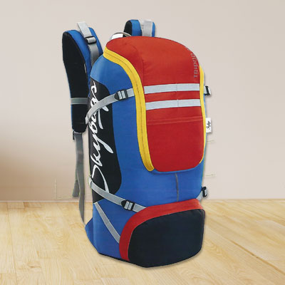 Skybags Weekender Backpack