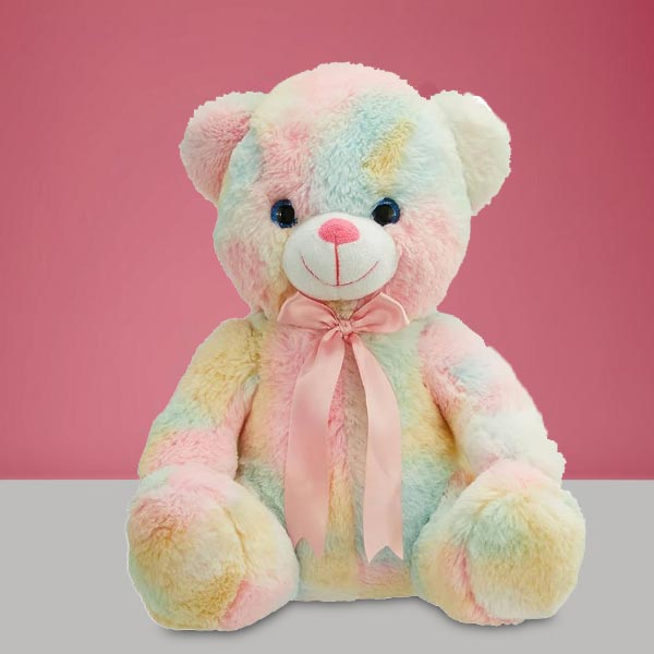 Adorable Rainbow Teddy