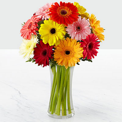 Colourful Gerbera Vase - Midnight Delivery