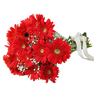 Red Gerberas Bouquet - Midnight Delivery
