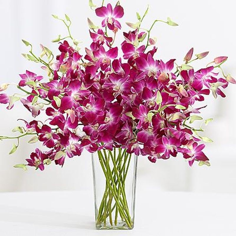 Orchid Vase – Midnight Delivery