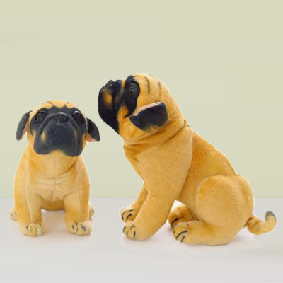 Pug Pair