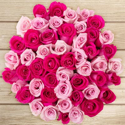 Fresh Pink & Red Roses Bouquet  – Midnight Delivery