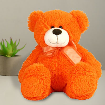 Adorable Teddy Midnight Gift