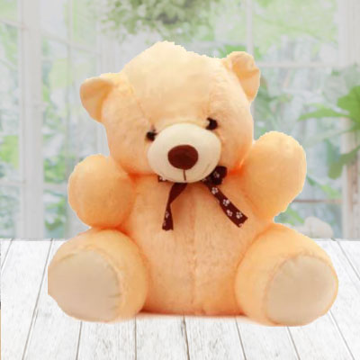 Soft Coloured Teddy