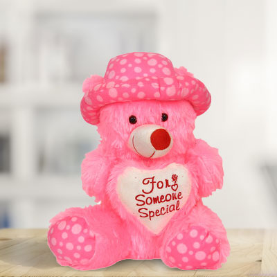 Teddy for Someone Special
