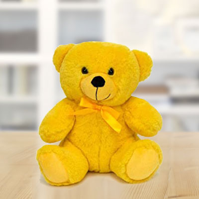 Bright Teddy Soft Toy