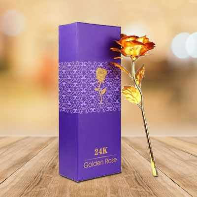 Beautiful Golden Rose
