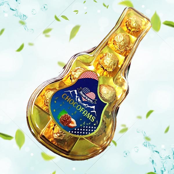 Guitar Shaped Chocolate Gift Pack